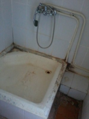 ЦРБ родильное отделение                             Россия ,                                                                            Кольчугино
                            ,                        