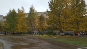 Средняя общеобразовательная школа №88                             Россия ,                                                                            Ярославль
                            ,                        