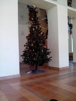 Гимназия им. А.В. Кольцова                             Россия ,                                                                            Воронеж
                            ,                        