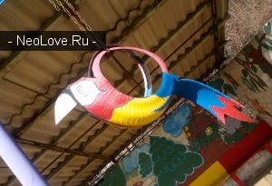 Детский сад №40 Веснушка                             Украина ,                                                                            Краснодон
                            ,                        