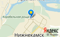 Родильный дом №1                             Россия ,                                                                            Нижнекамск
                            ,                        