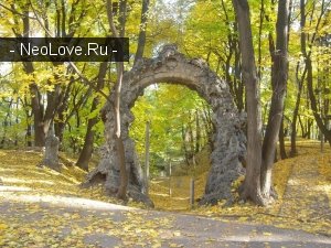 Институт Педиатрии, Акушерства и Гинекологии Амн Украины                             Украина ,                                                                            Киев
                            ,                        