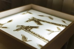 АРТпесок                             Россия ,                                                                            Астрахань
                            ,                        