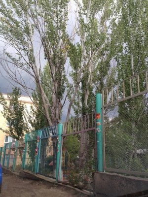 Детский сад №88 присмотра и оздоровления                             Россия ,                                                                            Астрахань
                            ,                        