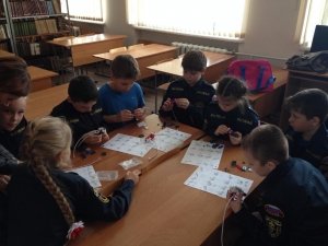 Интеркот                             Россия ,                                                                            Барнаул
                            ,                        