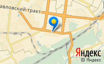 Светлячки                             Россия ,                                                                            Барнаул
                            ,                        