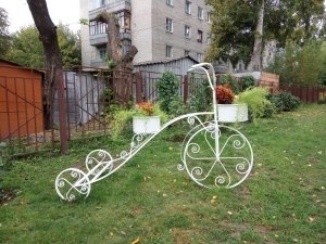 Средняя общеобразовательная школа №55                             Россия ,                                                                            Барнаул
                            ,                        