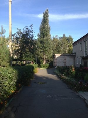 Детский сад №109. &laquo;Аленушка&raquo;                             Россия ,                                                                            Барнаул
                            ,                        