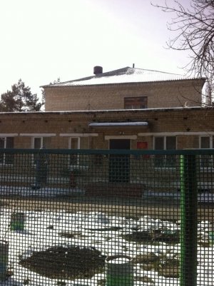 Детский сад №40                             Россия ,                                                                            Белгород
                            ,                        