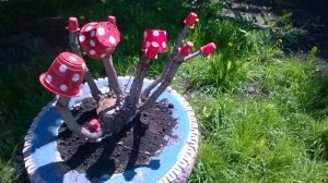 Детский сад №28                             Россия ,                                                                            Белгород
                            ,                        