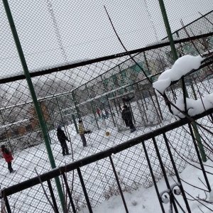 Гимназия №11                             Россия ,                                                                            Бийск
                            ,                        