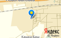 Тедди                             Кыргызстан ,                                                                            Бишкек
                            ,                        