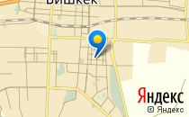 Курносики                             Кыргызстан ,                                                                            Бишкек
                            ,                        