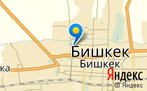 Профессиональный лицей №95                             Кыргызстан ,                                                                            Бишкек
                            ,                        