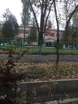 Специализированная дошкольная образовательная организация №126                             Кыргызстан ,                                                                            Бишкек
                            ,                        