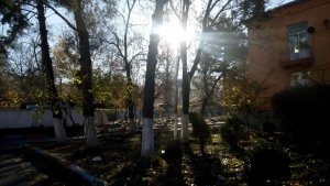 Дошкольная образовательная организация №72                             Кыргызстан ,                                                                            Бишкек
                            ,                        