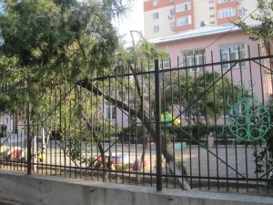 Специальная дошкольная образовательная организация №87 для детей с нарушением речи и слуха                             Кыргызстан ,                                                                            Бишкек
                            ,                        