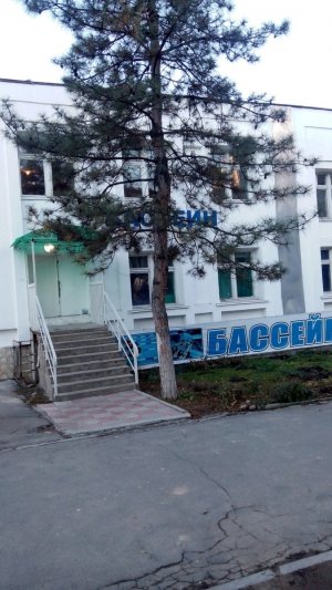 Дениз                             Кыргызстан ,                                                                            Бишкек
                            ,                        