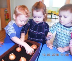 Кораблик                             Россия ,                                                                            Благовещенск
                            ,                        