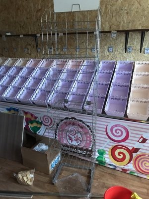 Антошка                             Россия ,                                                                            Благовещенск
                            ,                        