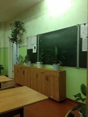 Гимназия №25                             Россия ,                                                                            Благовещенск
                            ,                        