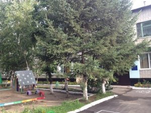 Детский сад №14                             Россия ,                                                                            Благовещенск
                            ,                        