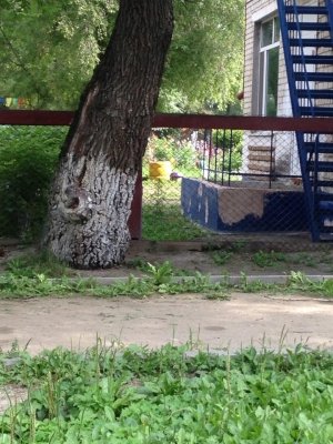 Детский сад №40. &laquo;Светлячок&raquo;                             Россия ,                                                                            Благовещенск
                            ,                        