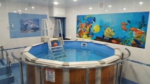 Олимп                             Россия ,                                                                            Благовещенск
                            ,                        