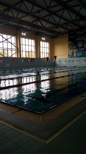 Студенческий                             Россия ,                                                                            Благовещенск
                            ,                        