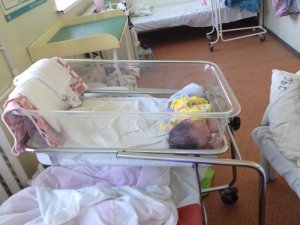 Роддом                             Россия ,                                                                            Елец
                            ,                        