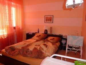 ЦРБ, роддом                             Россия ,                                                                            Волоколамск
                            ,                        