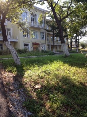 Мэри Поппинс                             Россия ,                                                                            Владивосток
                            ,                        