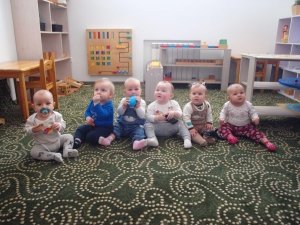 Заяц полосатый                             Россия ,                                                                            Владивосток
                            ,                        