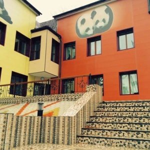 Малыш Панда                             Россия ,                                                                            Владивосток
                            ,                        