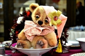 Шаги                             Россия ,                                                                            Владивосток
                            ,                        