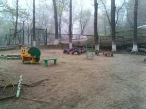 Детский сад №109. &laquo;Василек&raquo;                             Россия ,                                                                            Владивосток
                            ,                        