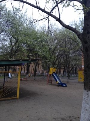 Детский сад №117                             Россия ,                                                                            Владивосток
                            ,                        