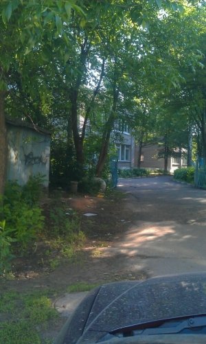 Детский сад №91 комбинированного вида                             Россия ,                                                                            Владимир
                            ,                        