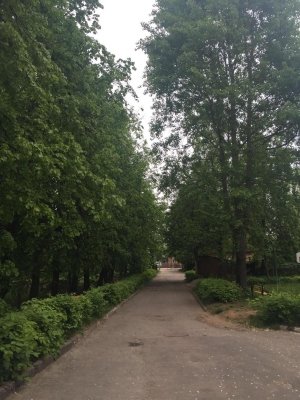 Детский сад №63                             Россия ,                                                                            Владимир
                            ,                        