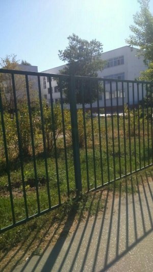 Гимназия №9                             Россия ,                                                                            Волгоград
                            ,                        