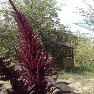 Поколение                             Россия ,                                                                            Волгоград
                            ,                        