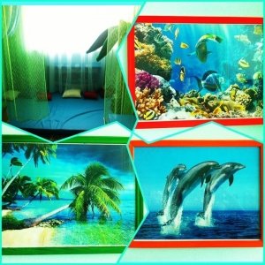 Детский сад №70. &laquo;Ладушки&raquo;                             Россия ,                                                                            Волжский (Волгоградская обл.)
                            ,                        