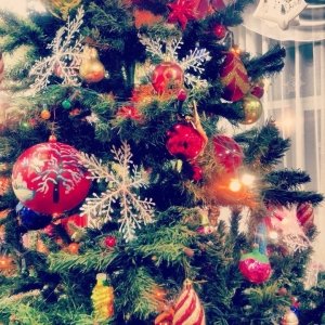 Детский сад №30. &laquo;Цветик-семицветик&raquo;                             Россия ,                                                                            Вологда
                            ,                        