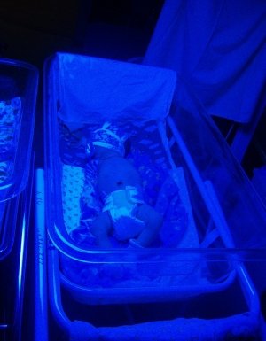 Роддом №2 МУЗ                             Россия ,                                                                            Воронеж
                            ,                        