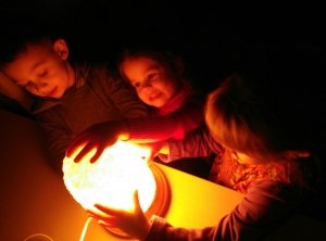 Little Beetle                             Украина ,                                                                            Днепропетровск (Днепр)
                            ,                        