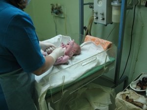 Роддом №2                             Россия ,                                                                            Барнаул
                            ,                        