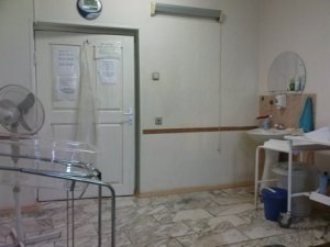 РОДДОМ № 2                             Россия ,                                                                            Чита
                            ,                        