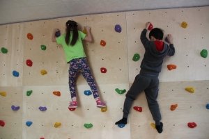 Земляничный дождик                             Россия ,                                                                            Верхняя Пышма
                            ,                        