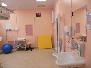 Курганский областной перинатальный центр                             Россия ,                                                                            Курган
                            ,                        