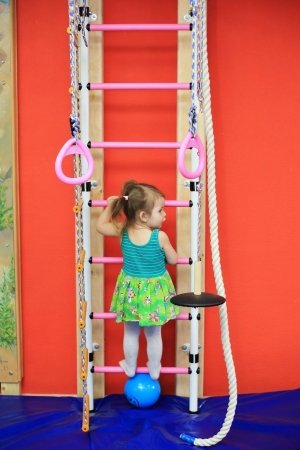 Площадка                             Россия ,                                                                            Ижевск
                            ,                        